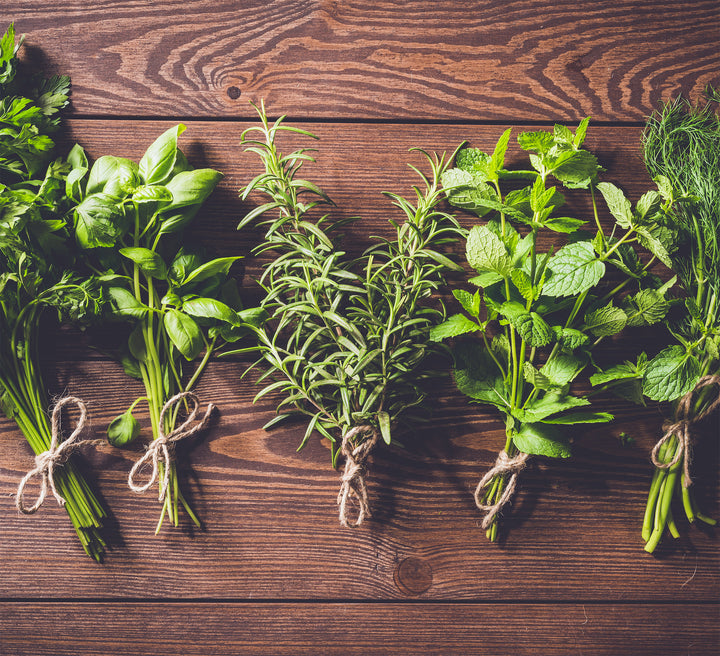 A Lineage Guide: Hardy Spring Herbs